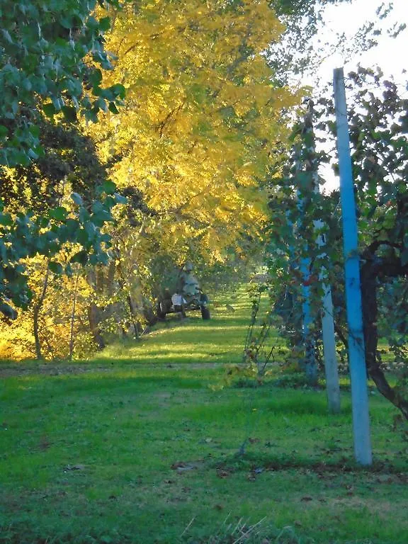 Agriturismo Loghino Sabbioni Suzzara Italy